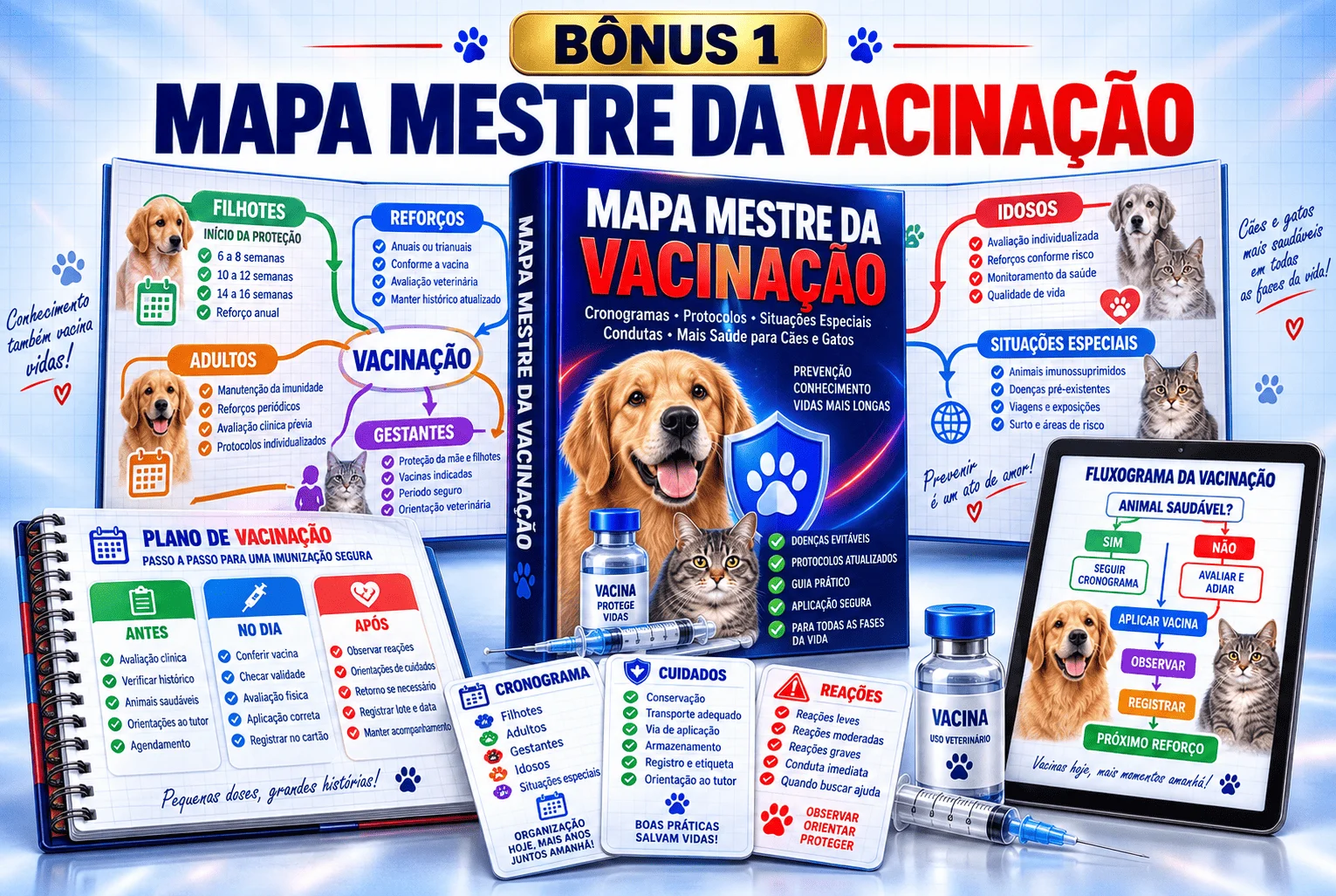 Bônus 1 Mapa Mestre da Vacinação